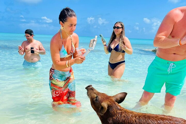 Nas: 3 islands Tour ,snorkel, Turtles, pigs and lunch