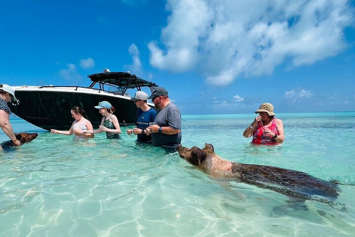 Nas: 3 islands Tour ,snorkel, Turtles, pigs and lunch