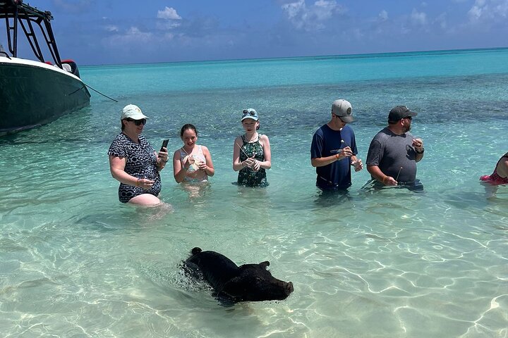 Nas: 3 islands Tour ,snorkel, Turtles, pigs and lunch