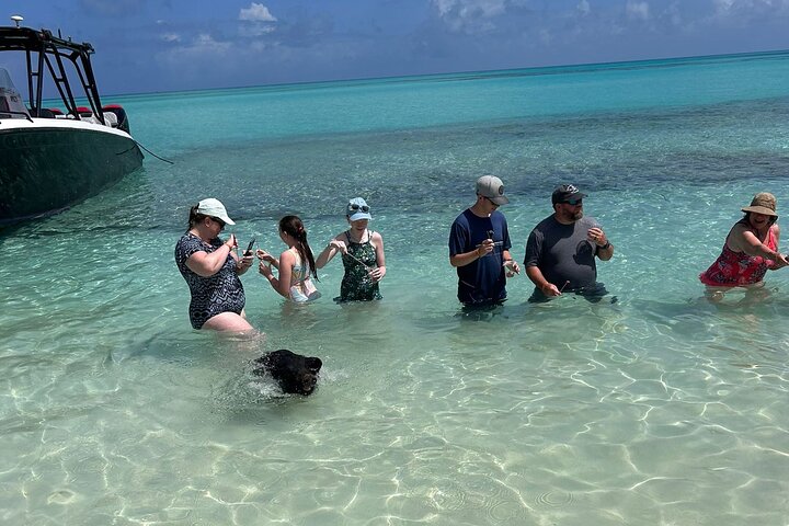 Nas: 3 islands Tour ,snorkel, Turtles, pigs and lunch