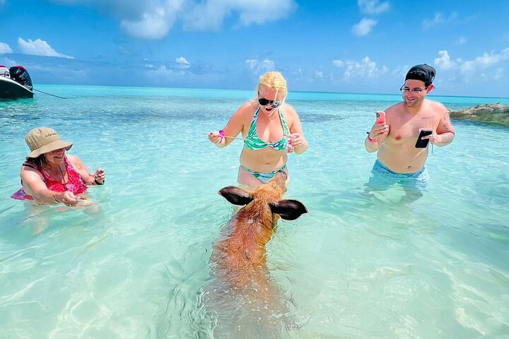 Nas: 3 islands Tour ,snorkel, Turtles, pigs and lunch
