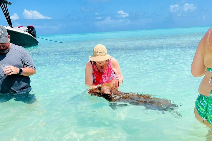 Nas: 3 islands Tour ,snorkel, Turtles, pigs and lunch