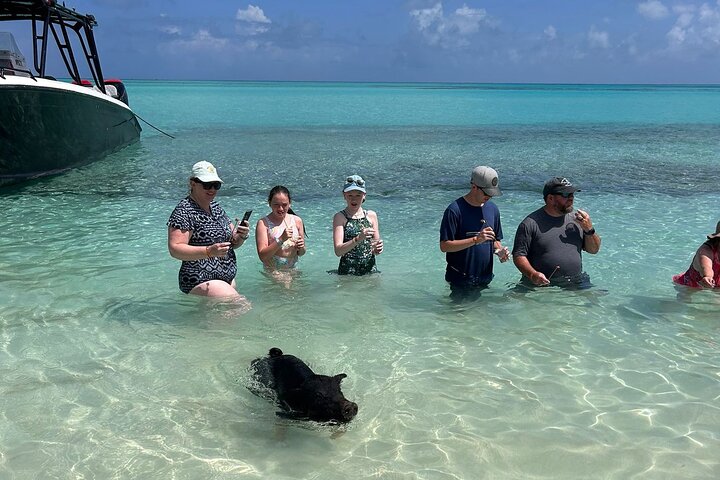 Nas: 3 islands Tour ,snorkel, Turtles, pigs and lunch