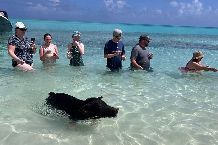 Nas: 3 islands Tour ,snorkel, Turtles, pigs and lunch
