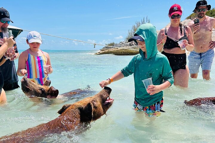 Nas: 3 islands Tour ,snorkel, Turtles, pigs and lunch