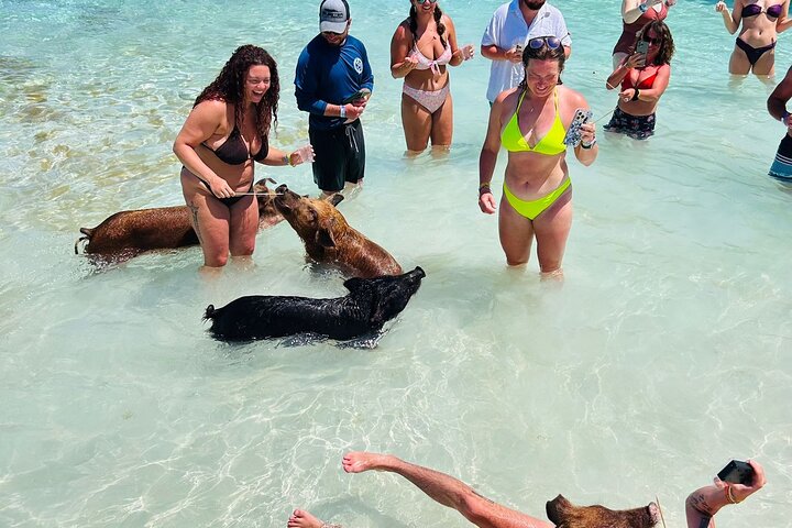 Nas: 3 islands Tour ,snorkel, Turtles, pigs and lunch