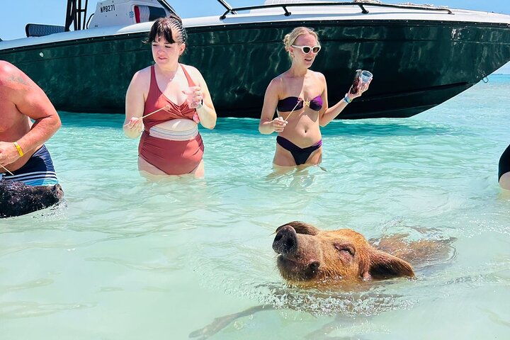 Nas: 3 islands Tour ,snorkel, Turtles, pigs and lunch