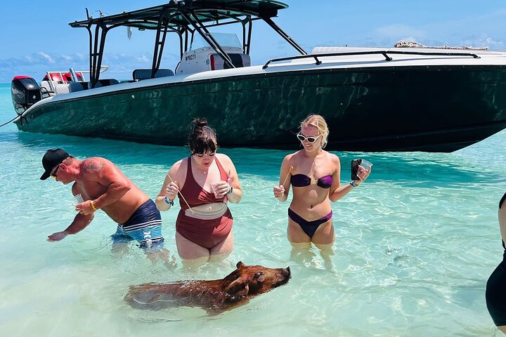 Nas: 3 islands Tour ,snorkel, Turtles, pigs and lunch
