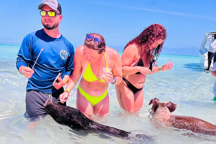 Nas: 3 islands Tour ,snorkel, Turtles, pigs and lunch