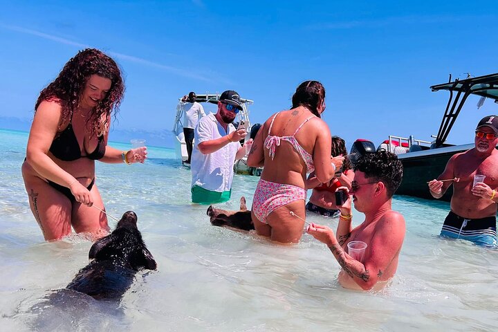 Nas: 3 islands Tour ,snorkel, Turtles, pigs and lunch