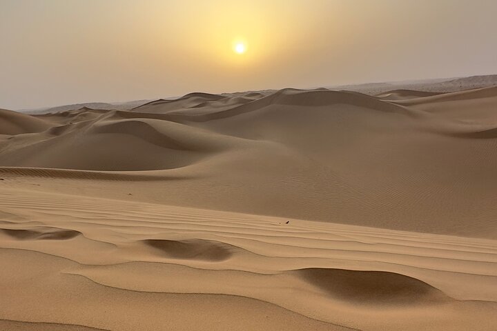 Sunset desert safari tour (private tour)