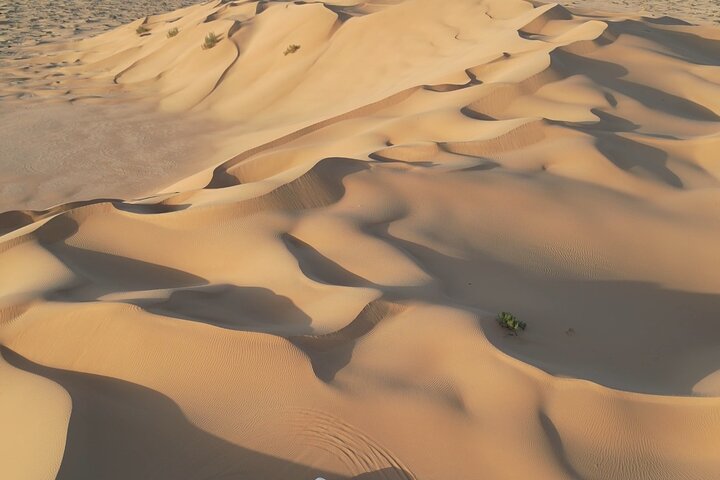 Sunset desert safari tour (private tour)