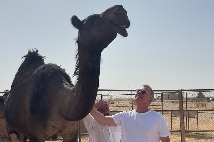Sunset desert safari tour (private tour)