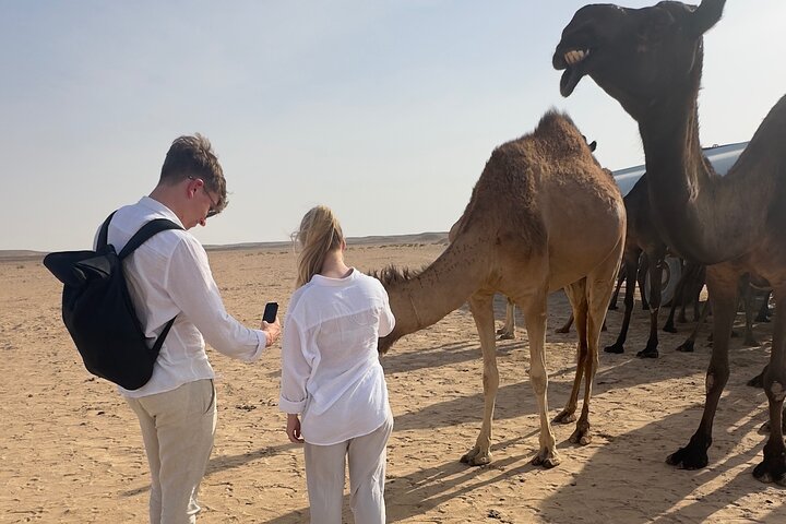 Sunset desert safari tour (private tour)