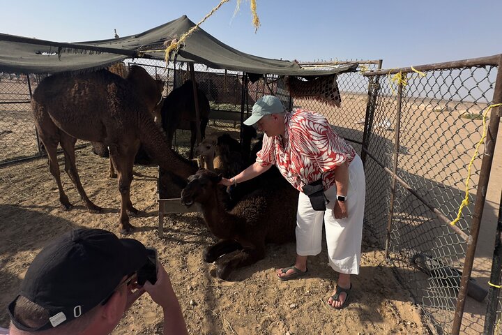 Sunset desert safari tour (private tour)