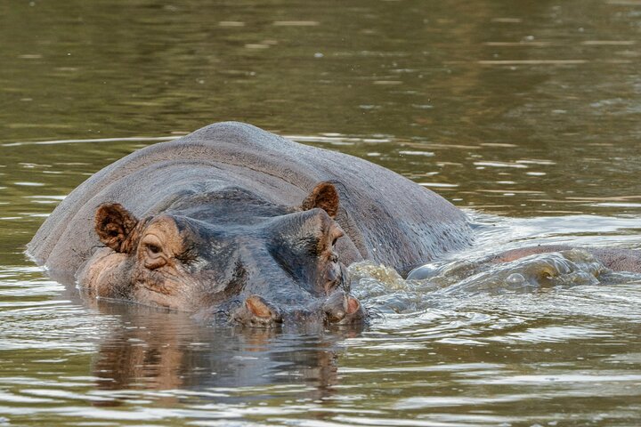 1 Day Tanzania Safari to Ngorongoro Crater
