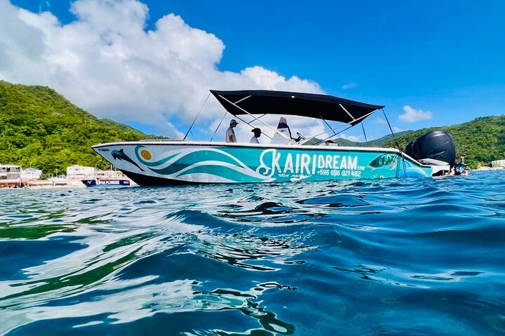 Martinique : Observation des dauphins et snorkeling