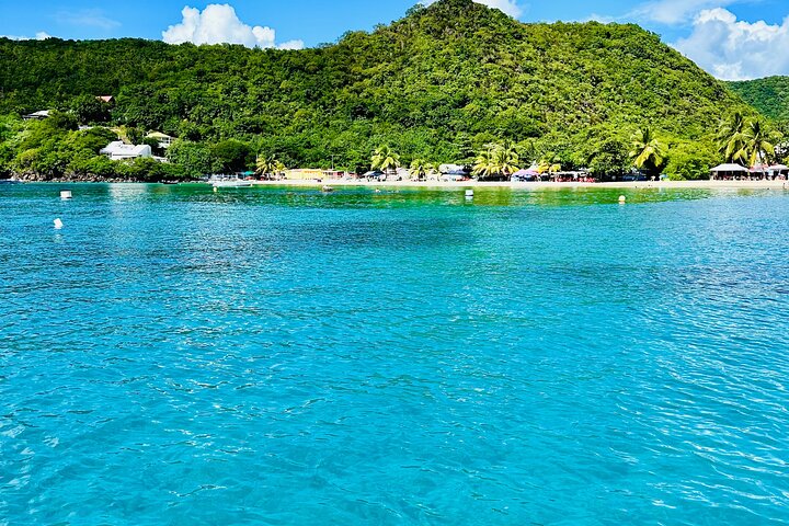 Martinique : Observation des dauphins et snorkeling