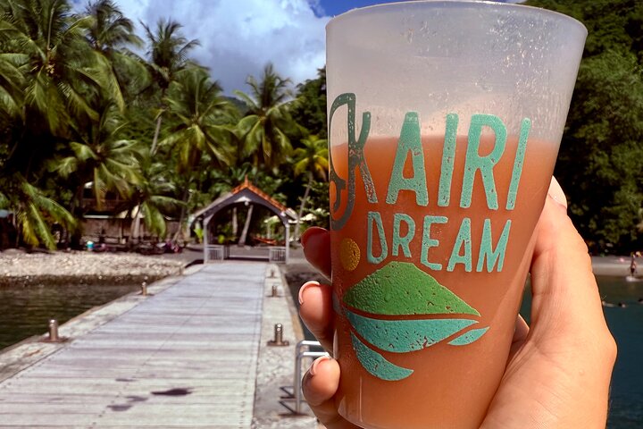 Martinique : Observation des dauphins et snorkeling