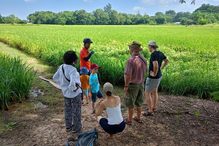 Full Day Cycling tour to Sukhothai Historical Park