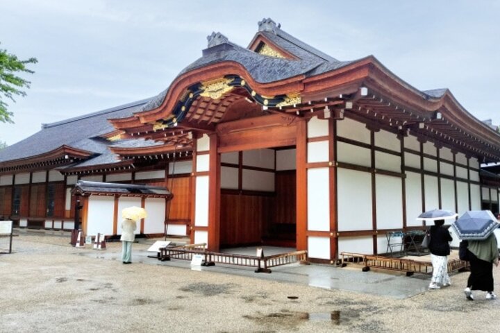 Nagoya Castle and Local Flavor Samurai Tales and Street Food Walk