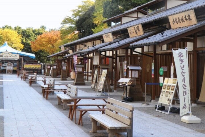 Nagoya Castle and Local Flavor Samurai Tales and Street Food Walk