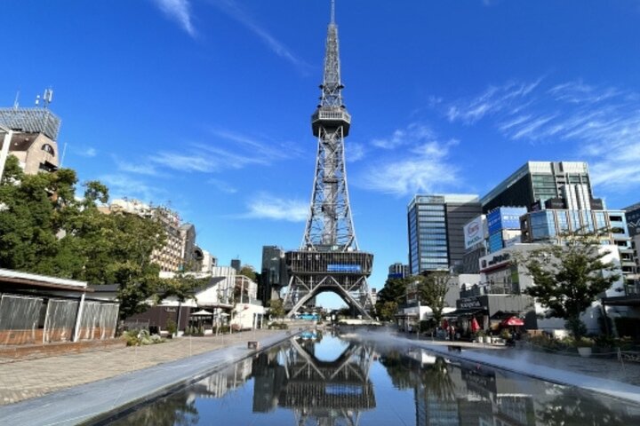 Nagoya Castle and Local Flavor Samurai Tales and Street Food Walk