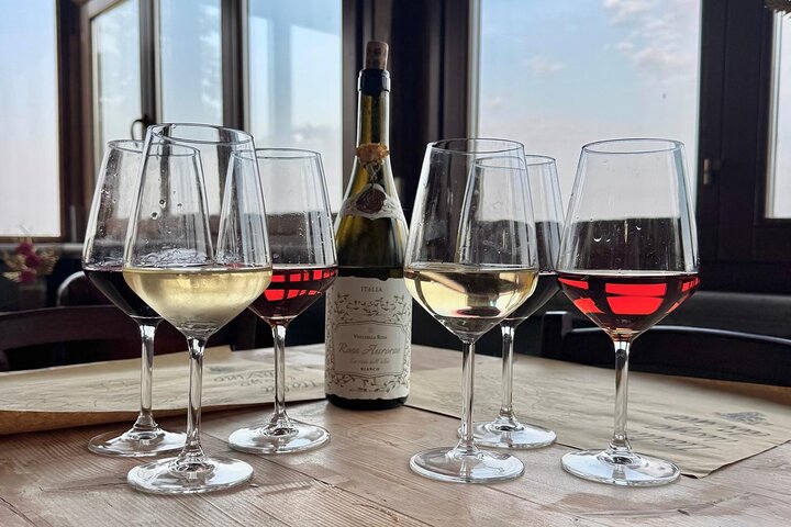 Winery Tour and Tasting in Abruzzo