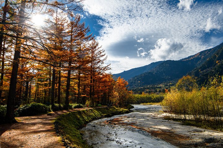 Kamikochi & Matsumoto Castle: A Perfect Nature & Heritage Day