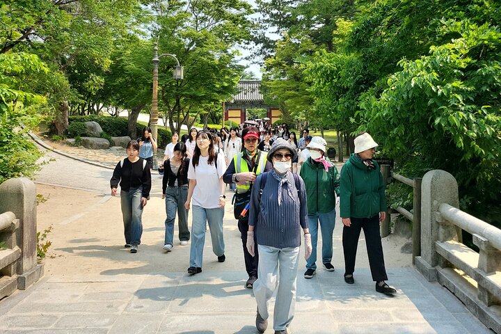 Private Day tour Gyeongju Unesco culture area in Gyeongju city