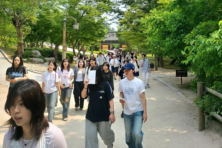 Private Day tour Gyeongju Unesco culture area in Gyeongju city