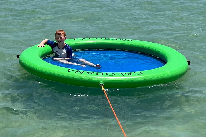 Private Anna Maria Island Boat Tour Snorkeling, Dolphins, Sandbar