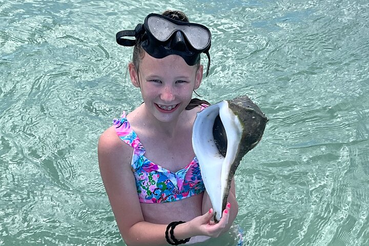 Private Anna Maria Island Boat Tour Snorkeling, Dolphins, Sandbar