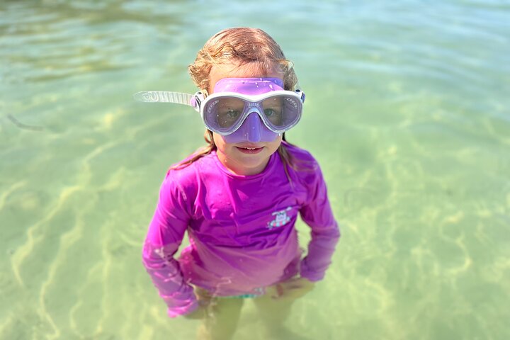 Private Anna Maria Island Boat Tour Snorkeling, Dolphins, Sandbar