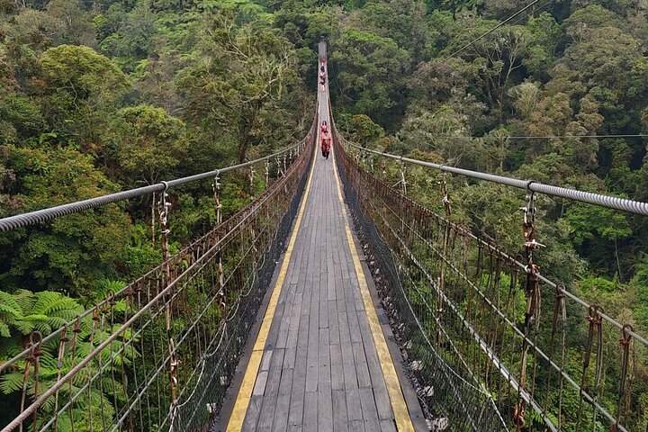 Kawah Putih tour - Day trip Ticket etc all including