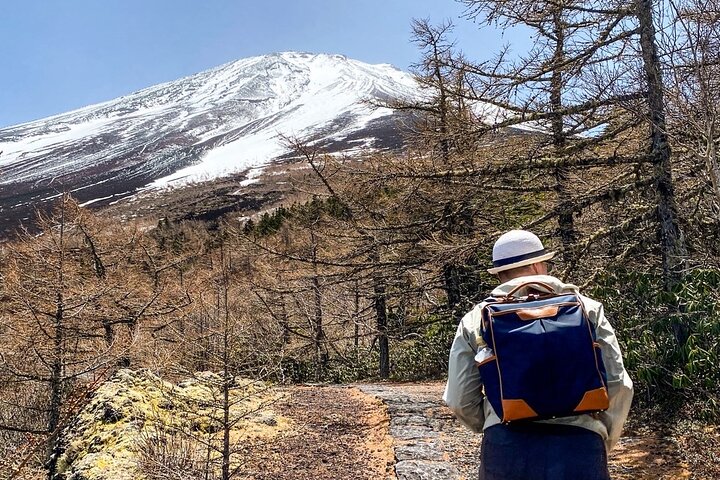 Walk the Ancient Pilgrim Paths of Mt. Fuji – Private Tour
