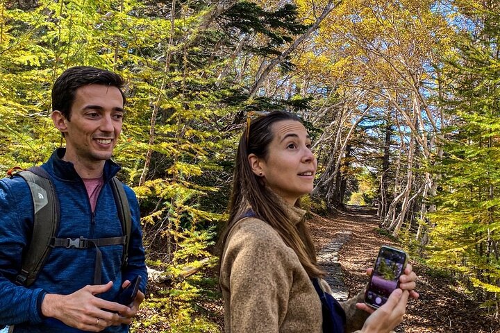 Walk the Ancient Pilgrim Paths of Mt. Fuji – Private Tour