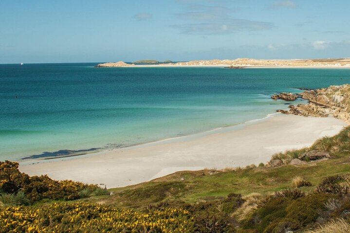 Private Falklands Guided Eco Nature Tour