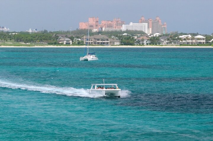 Nassau Swimming Pigs: Snorkeling, Lunch & Private Beach Club