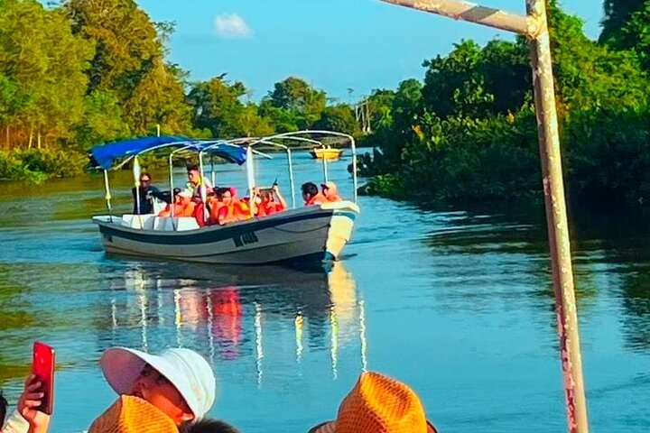 Borneo (Klias) River Cruise & Fireflies Tour