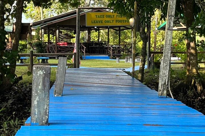 Borneo (Klias) River Cruise & Fireflies Tour