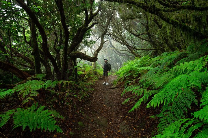 Magical Tenerife / Photo Walk