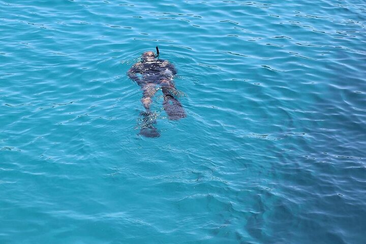 Trogir Boat Tour To Secret Underwater Museum