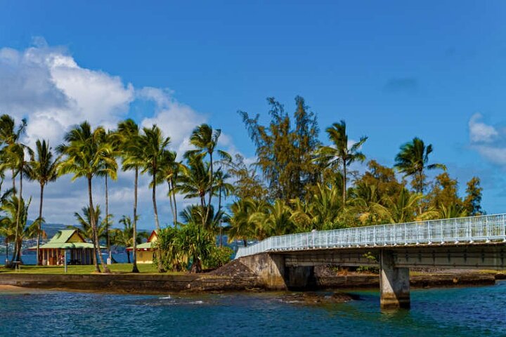 Big Island Scenic Tour: Volcano Hilo Town Waterfall Beach & Lunch