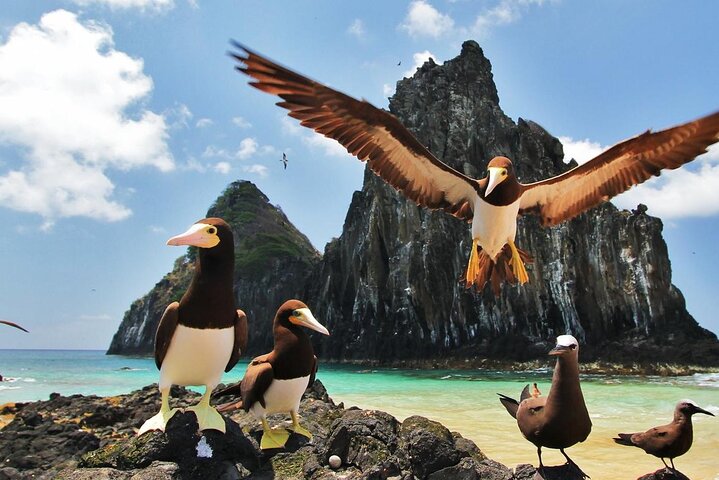VIP Sunset Experience in Fernando de Noronha