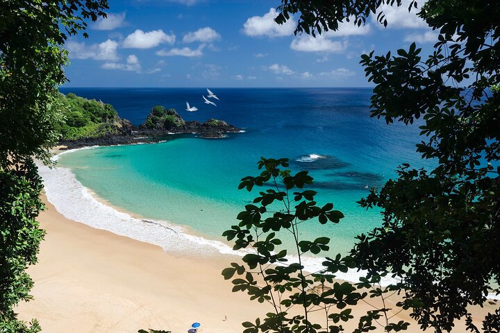 Traditional Boat in Fernando de Noronha