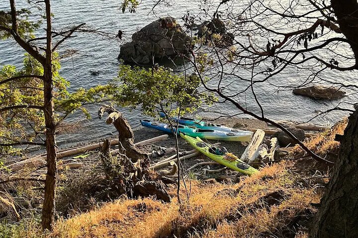 Rosario Coastal Kayak Tour on Orcas Island