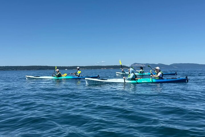 Rosario Coastal Kayak Tour on Orcas Island