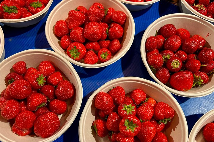 Stockholm Small Group Food Tour with 7 Classic Food Tastings