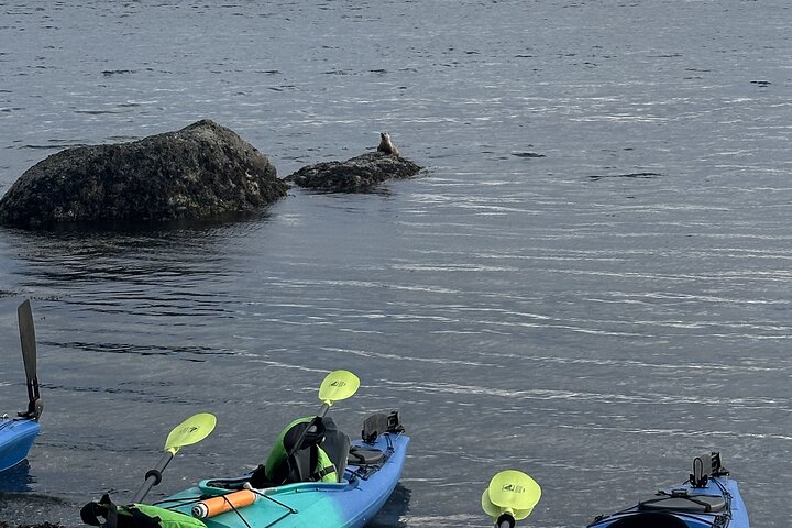 Rosario Coastal Kayak Tour on Orcas Island